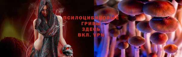 гидропоника Бронницы