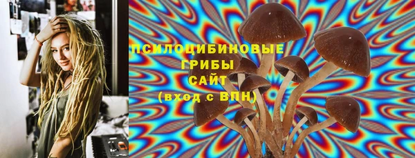 гидропоника Бронницы